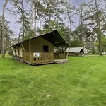 Safaritent 6