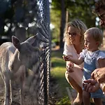 Vakantiehuis Safaritent 6 Vessem