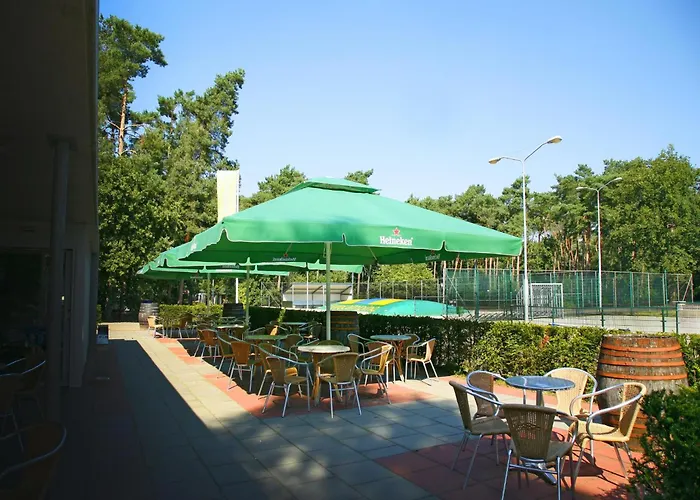 Safaritent 6 럭셔리텐트